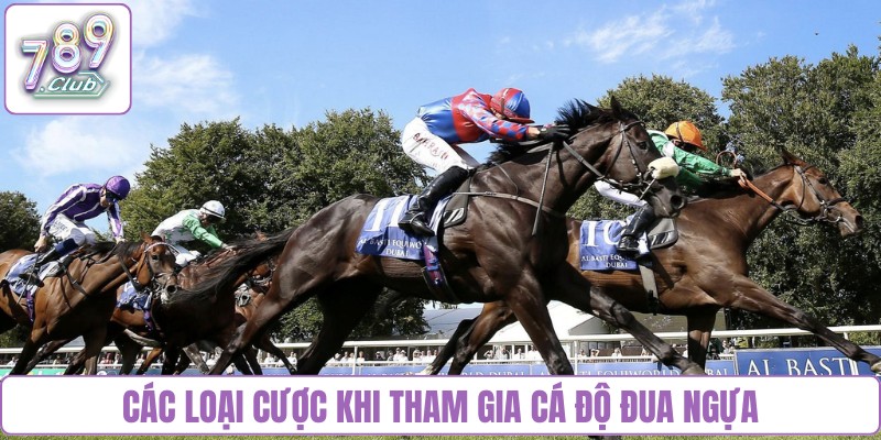 Các loại cược khi tham gia cá độ đua ngựa