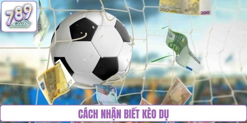 Cách nhận biết kèo dụ