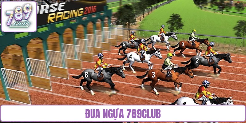 đua ngựa 789Club