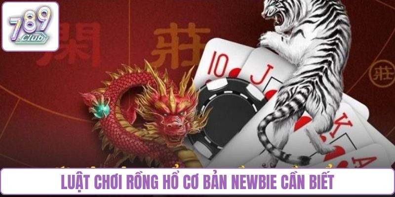 Luật chơi Rồng Hổ cơ bản newbie cần biết