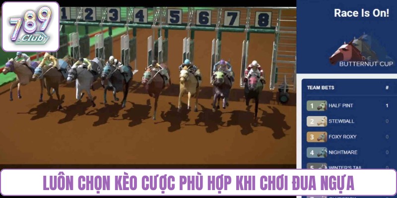 Luôn chọn kèo cược phù hợp khi chơi đua ngựa