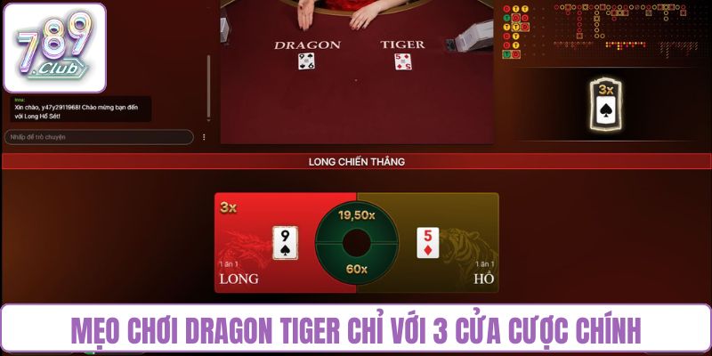 Mẹo chơi Dragon Tiger chỉ với 3 cửa cược chính