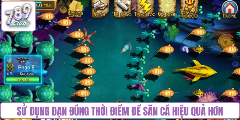 Sử dụng đạn đúng thời điểm để săn cá hiệu quả hơn