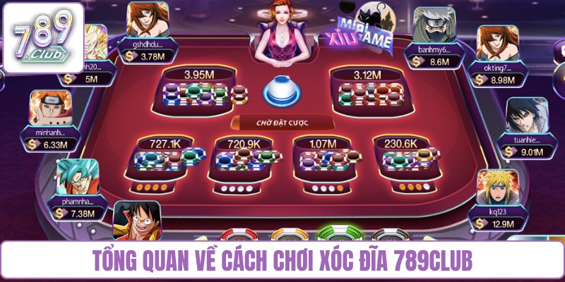 Tổng quan về cách chơi Xóc đĩa 789Club