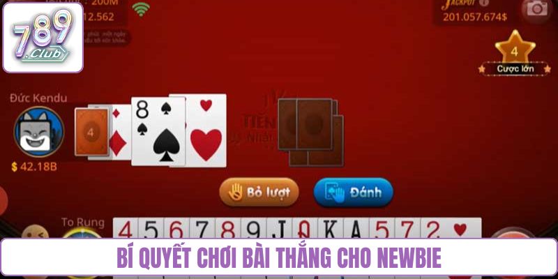 Bí quyết chơi bài thắng cho newbie