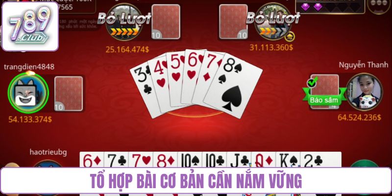Tổ hợp bài cơ bản cần nắm vững